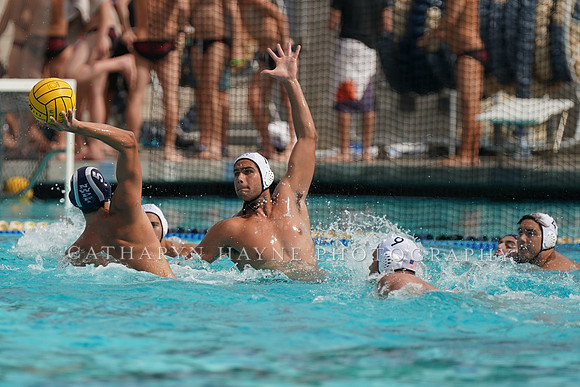 USA Water Polo National League: Fisher Cup:Collegiate vs Newport