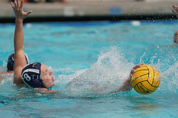 USA Water Polo National League: Fisher Cup:Collegiate vs Newport