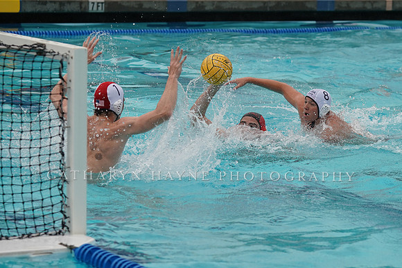 USA Water Polo National League Championships: Fisher Cup: New York Athletic Club vs Collegiate