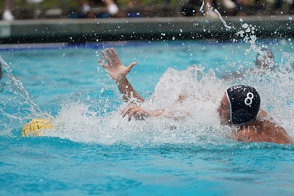 USA Water Polo National League: Fisher Cup:Golden Bears vs University