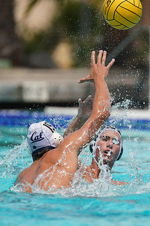 USA Water Polo National League: Fisher Cup:Golden Bears vs University