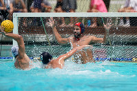USA Water Polo National League: Fisher Cup:Golden Bears vs University