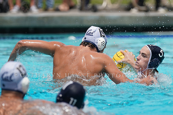 USA Water Polo National League: Fisher Cup:Golden Bears vs University