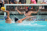 USA Water Polo National League: Fisher Cup:Golden Bears vs University