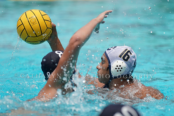 USA Water Polo National League: Fisher Cup:Golden Bears vs University