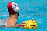 USA Water Polo National League: Fisher Cup:Golden Bears vs University