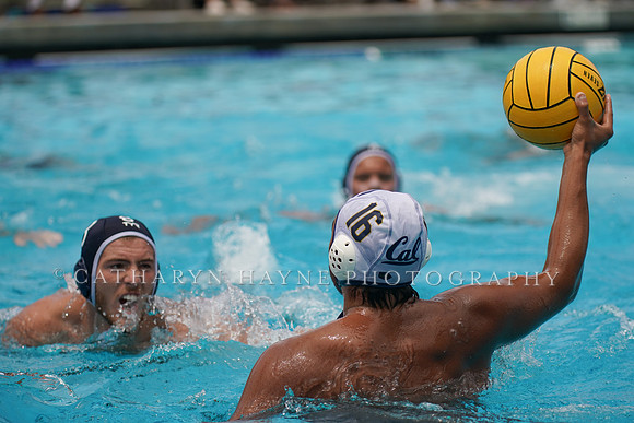USA Water Polo National League: Fisher Cup:Golden Bears vs University