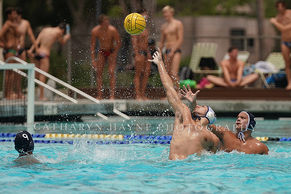 USA Water Polo National League: Fisher Cup:Golden Bears vs University