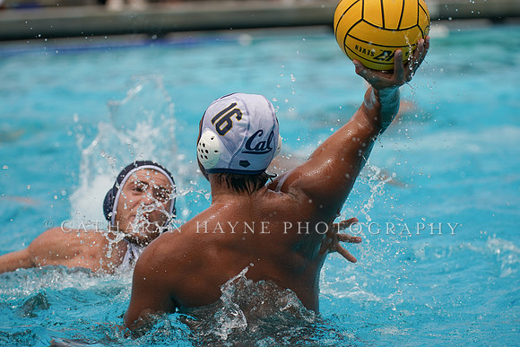 USA Water Polo National League: Fisher Cup:Golden Bears vs University