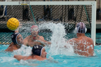 USA Water Polo National League: Fisher Cup:Academy vs Olympic Club