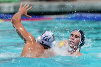 USA Water Polo National League: Fisher Cup:Golden Bears vs University