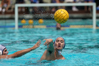2019.05.18 Fisher Cup: Golden Bears vs University