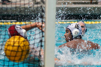 USA Water Polo National League: Fisher Cup:Golden Bears vs University