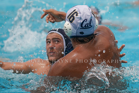 USA Water Polo National League: Fisher Cup:Golden Bears vs University