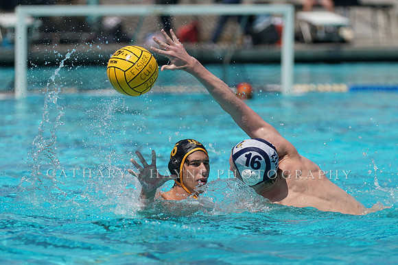 USA Water Polo National League: Fisher Cup: Long Beach vs Newport
