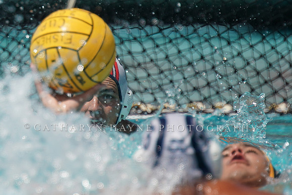USA Water Polo National League: Fisher Cup: Long Beach vs Newport