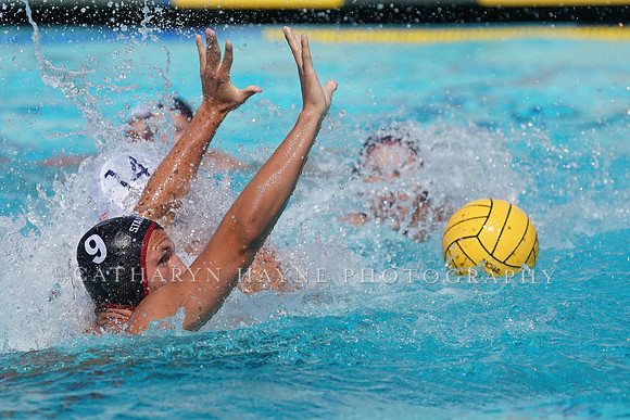 USA Water Polo National League Championships: Fisher Cup: Stanford vs Collegiate , Bronze Game
