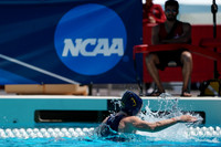 Collegiate Women's Water Polo: NCAA: California Golden Bears vs University of Hawaii Wahine