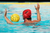 USA Water Polo National League Championships: Fisher Cup: New York Athletic Club vs Olympic Club Championship Game