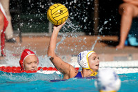 Collegiate Women's Water Polo: NCAA Semi Finals: UCLA Bruins vs Stanford Cardinals