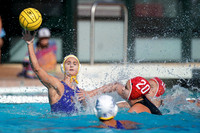 Collegiate Women's Water Polo: NCAA Semi Finals: UCLA Bruins vs Stanford Cardinals