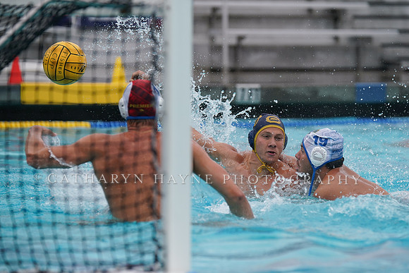 USA Water Polo National League Championships: Fisher Cup: Golden Bears vs Santa Barbara