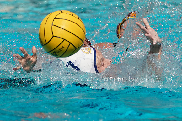 Collegiate Women's Water Polo: NCAA Semi Finals: USC Trojans vs California Golden Bears