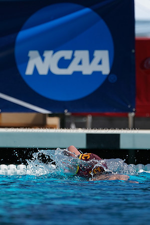 Collegiate Women's Water Polo: NCAA Semi Finals: USC Trojans vs California Golden Bears