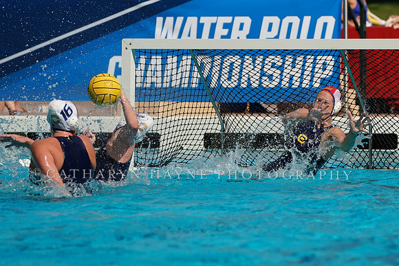 Collegiate Women's Water Polo: NCAA Semi Finals: USC Trojans vs California Golden Bears