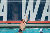 USA Water Polo National League: Olympic Club vs Alumni