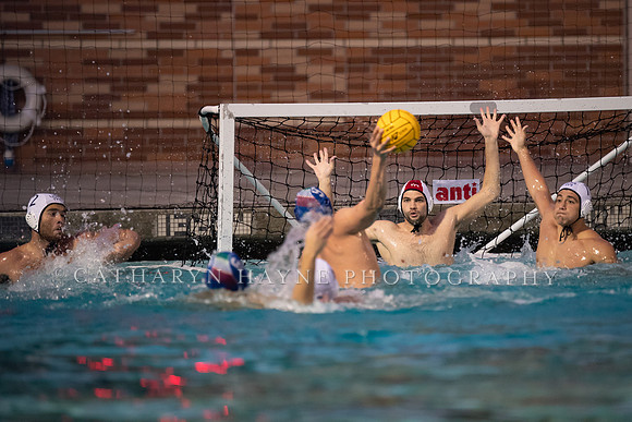 USA Water Polo Men's Exhibition Series: USA vs Italy