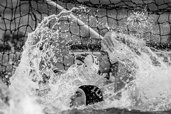USA Water Polo Men's Exhibition Series: USA vs Italy