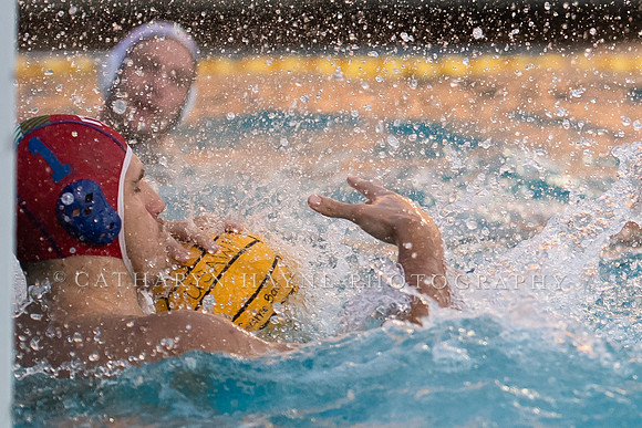 USA Water Polo Men's Exhibition Series: USA vs Italy