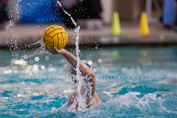 USA Water Polo Men's Exhibition Series: USA vs Italy