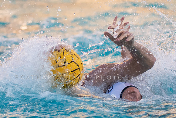 USA Water Polo Men's Exhibition Series: USA vs Italy