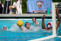 USA Water Polo National League: Olympic Club vs Alumni