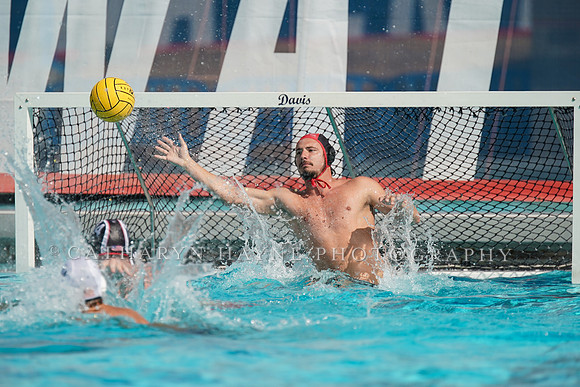 USA Water Polo National League: Olympic Club vs USA University