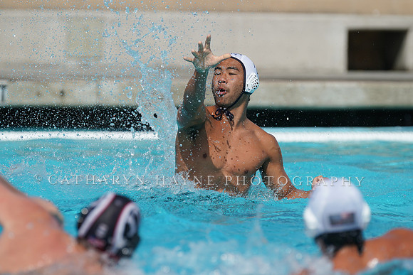 USA Water Polo National League: Olympic Club vs USA University