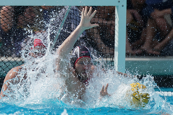 USA Water Polo National League: Olympic Club vs USA University