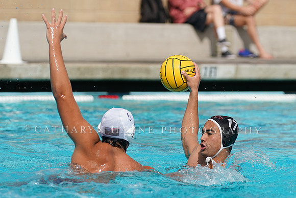 USA Water Polo National League: Olympic Club vs USA University