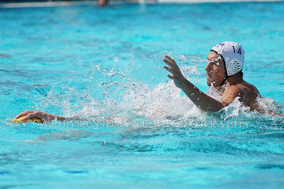 USA Water Polo National League: Olympic Club vs USA University