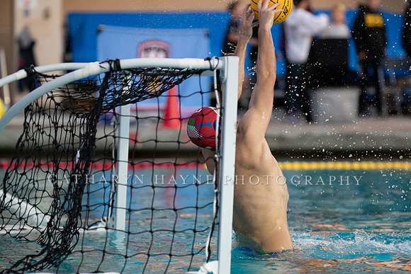 USA Water Polo Men's Exhibition Series: USA vs Italy