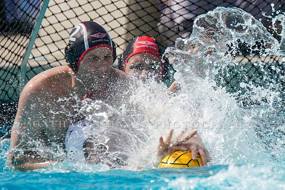 USA Water Polo National League: Olympic Club vs USA University