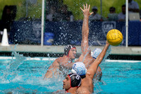USA Water Polo National League: Olympic Club vs Alumni