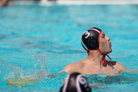 USA Water Polo National League: Olympic Club vs Alumni
