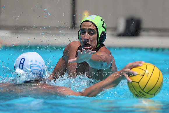 USA Water Polo: National League: Davis vs Alumni