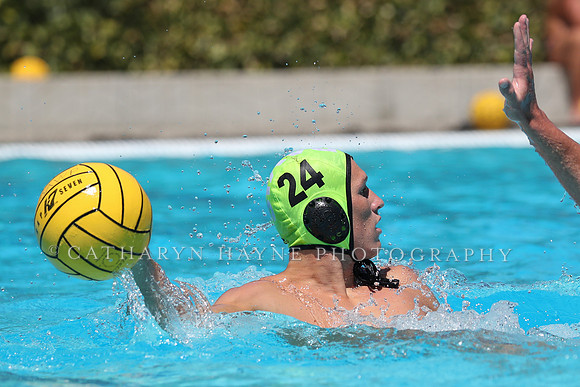 USA Water Polo: National League: Davis vs Alumni