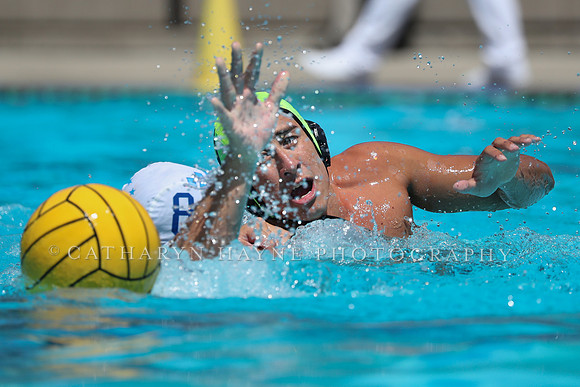 USA Water Polo: National League: Davis vs Alumni