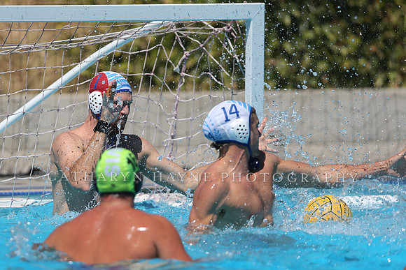 USA Water Polo: National League: Davis vs Alumni