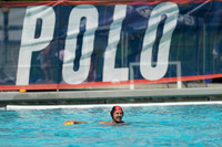 USA Water Polo National League: Olympic Club vs Alumni
